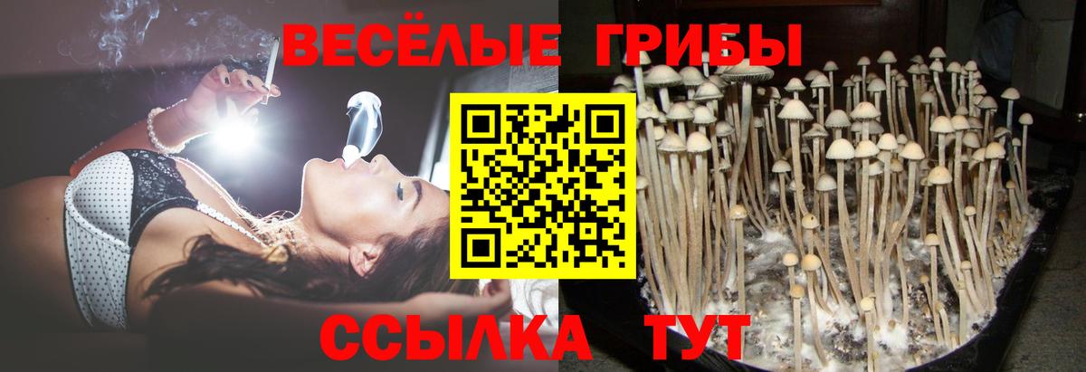 Псилоцибиновые грибы MAGIC MUSHROOMS  Вход с VPN  Галлюциногенные грибы мухоморы  Белебей 